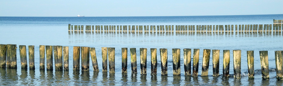 Haus am Meer, Ferienwohnungen für Frauen